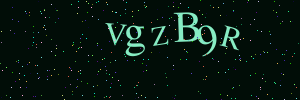 Validation image