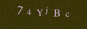 Validation image